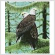 cross stitch pattern A Gathering of Eagles (Crop)