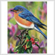 cross stitch pattern Hollyberry Bluebird