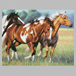 cross stitch pattern Horses Running
