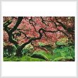 cross stitch pattern Japanese Maple