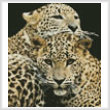 cross stitch pattern Leopards