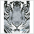cross stitch pattern Mini Bengal Tiger Black and White