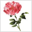 cross stitch pattern Pink Floral