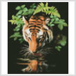 cross stitch pattern Tiger Reflection