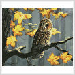 cross stitch pattern Tawny Owl (Crop)