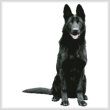 cross stitch pattern Black German Shepherd