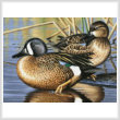 cross stitch pattern Blue Winged Teal Ducks