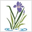 cross stitch pattern Iris