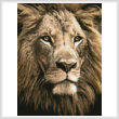 cross stitch pattern Mini Lion Close up