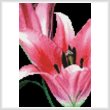 cross stitch pattern Mini Pink Lily