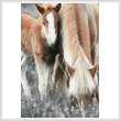 cross stitch pattern Pony and Foal