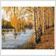 cross stitch pattern Serenity Birch Tree