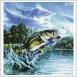 cross stitch pattern Airborne Bass