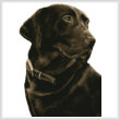 cross stitch pattern Chocolate Labrador (No Background)