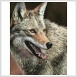 cross stitch pattern Coyote Profile