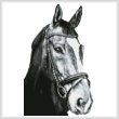 cross stitch pattern Horse Close Up 2 (BW) No BG