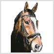 cross stitch pattern Horse Close Up 2 (No Back)