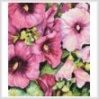cross stitch pattern Hollyhocks in Evening Glow (Crop)