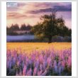 cross stitch pattern Lupine Sunrise (Crop)