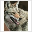 cross stitch pattern Mini Coyote Profile