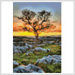 cross stitch pattern Mini Dales Dusk