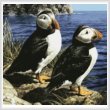 cross stitch pattern Puffin Couple (Crop)