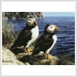cross stitch pattern Puffin Couple