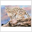 cross stitch pattern Snow Leopards on a Rock