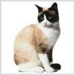 cross stitch pattern Snowshoe Cat 2