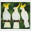cross stitch pattern Three Cockatoos