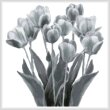 cross stitch pattern Black and White Tulips