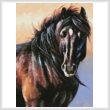 cross stitch pattern Black Stallion