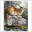 cross stitch pattern Eastern Cougar