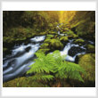 cross stitch pattern Gorton Creek Fern