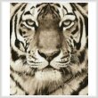 cross stitch pattern Tiger Portrait (Sepia)