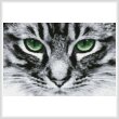 cross stitch pattern Green Eyes 2