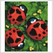 cross stitch pattern Lady Love Bugs