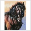 cross stitch pattern Mini Black Stallion