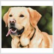 cross stitch pattern Mini Labrador Retriever