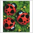 cross stitch pattern Mini Lady Love Bugs