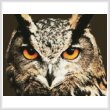 cross stitch pattern Mini Owl Close Up