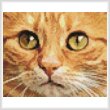 cross stitch pattern Tiny Ginger Cat Close Up