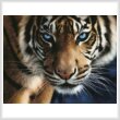 cross stitch pattern Blue Eyed Tiger