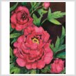 cross stitch pattern Peonies in Deep Red (Crop)