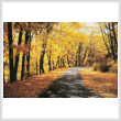 cross stitch pattern Path Through Autumn Trees (Large)