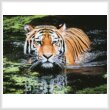 cross stitch pattern Tiger in Swamp
