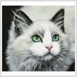 cross stitch pattern Those Eyes