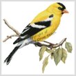 cross stitch pattern American Goldfinch on a Branch