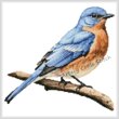 cross stitch pattern Eastern Bluebird