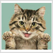 cross stitch pattern Mini Cat 66